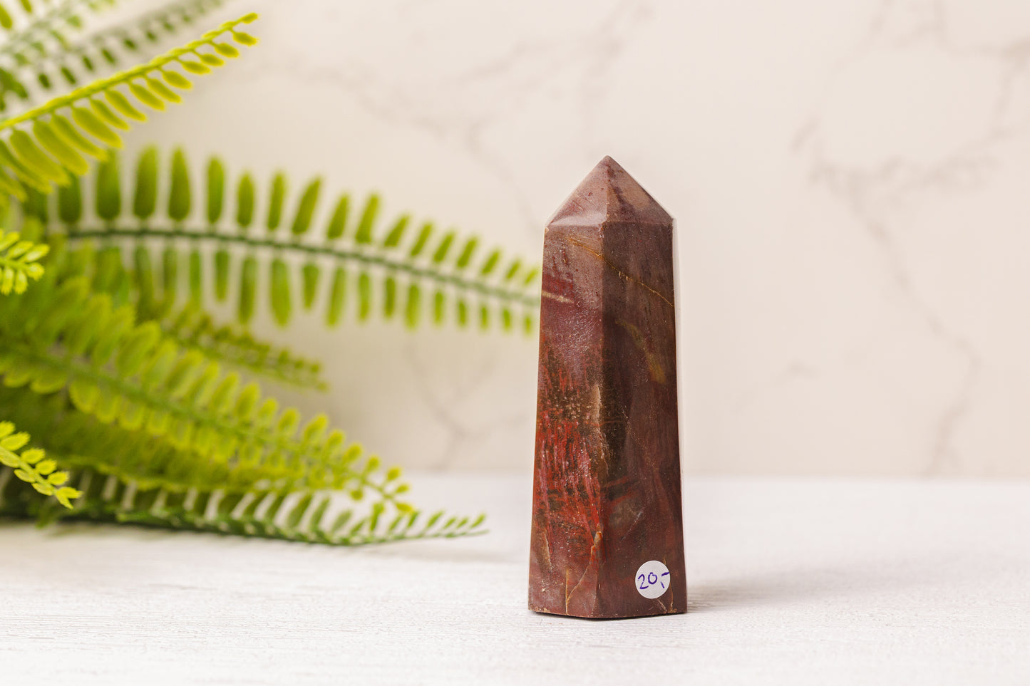 Versteend hout punten uit Madagaskar