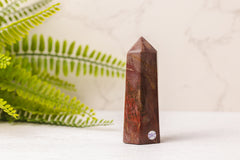 Versteend hout punten uit Madagaskar