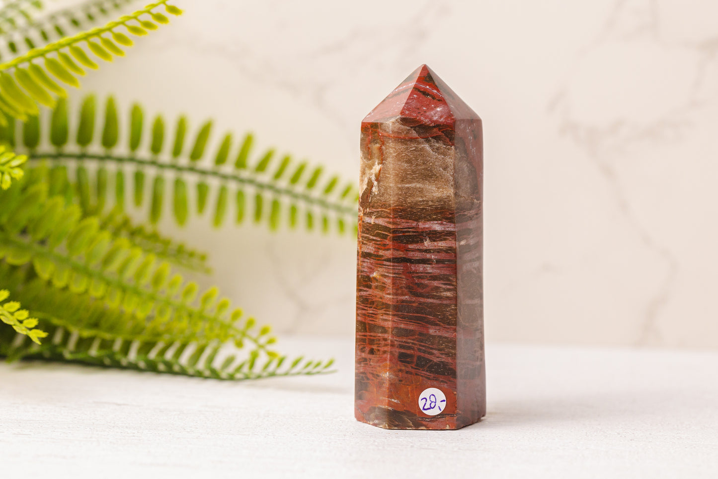 Versteend hout punten uit Madagaskar