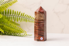 Versteend hout punten uit Madagaskar