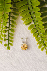 Zilveren citrien hanger