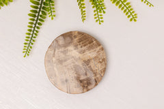 Versteend hout onderzetter