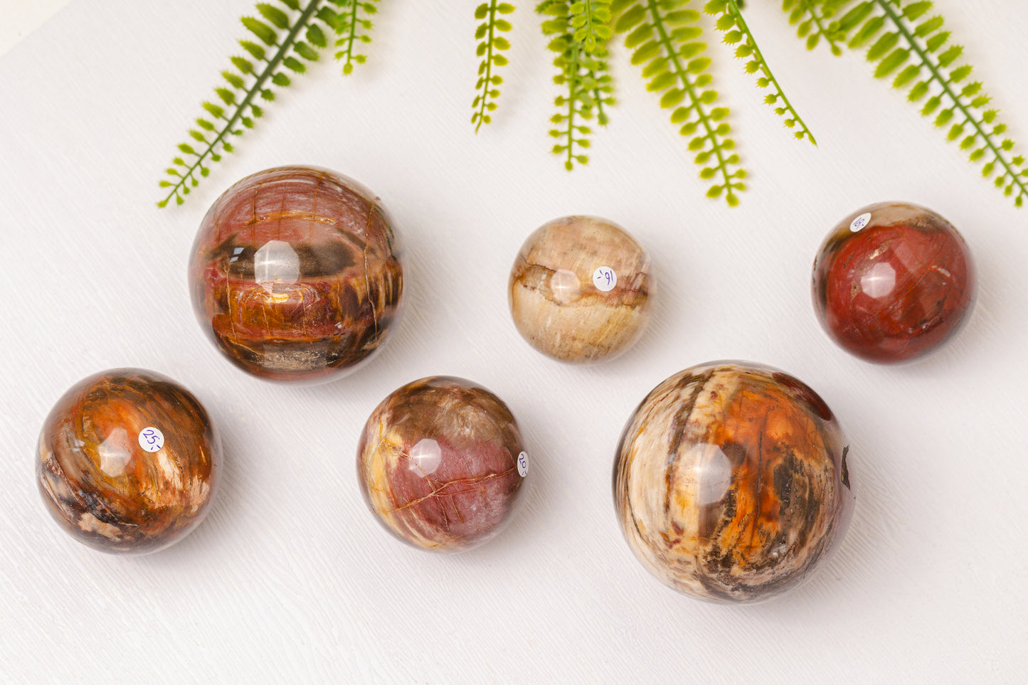Versteend hout bollen