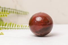 Versteend hout bollen