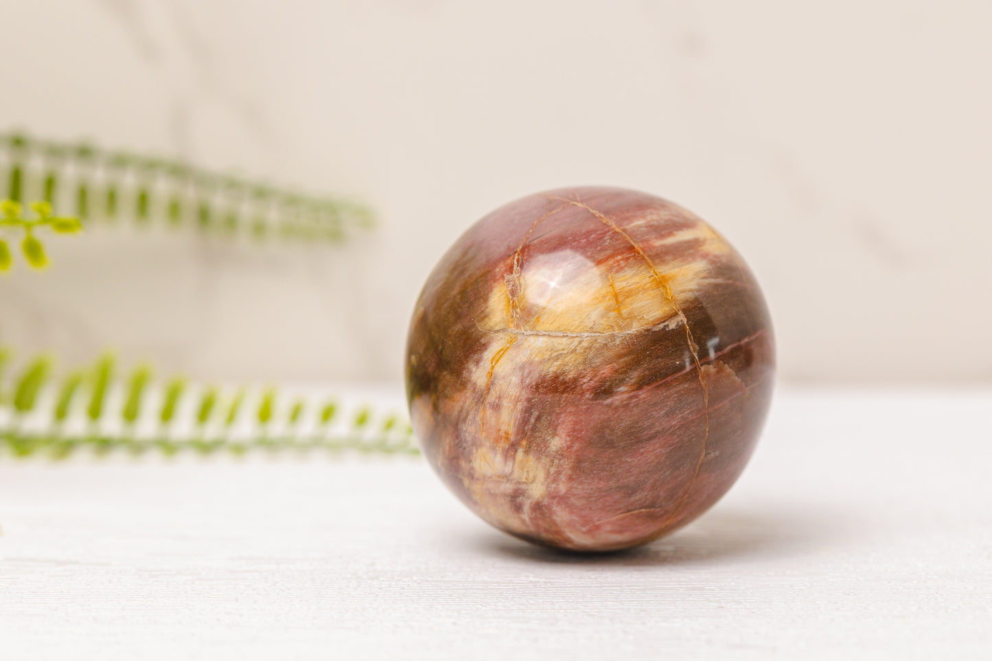 Versteend hout bollen
