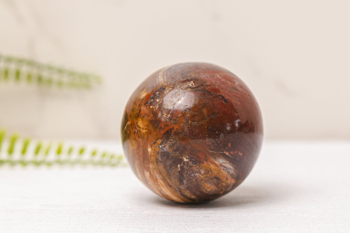 Versteend hout bollen