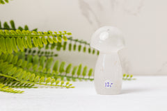 Bergkristal paddenstoelen