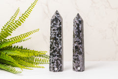 Gabbro Merliniet punten