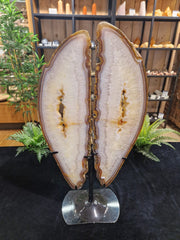 Agaat-Flügel auf Standard