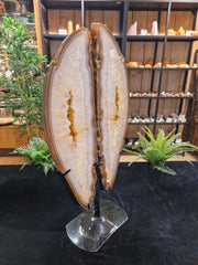 Agaat-Flügel auf Standard