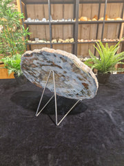 Verstärktes Holz aus Arizona