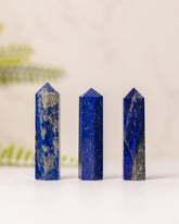 Torentjes - 3e gratis