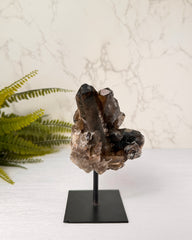 Rookkwarts op standaard nummer 9