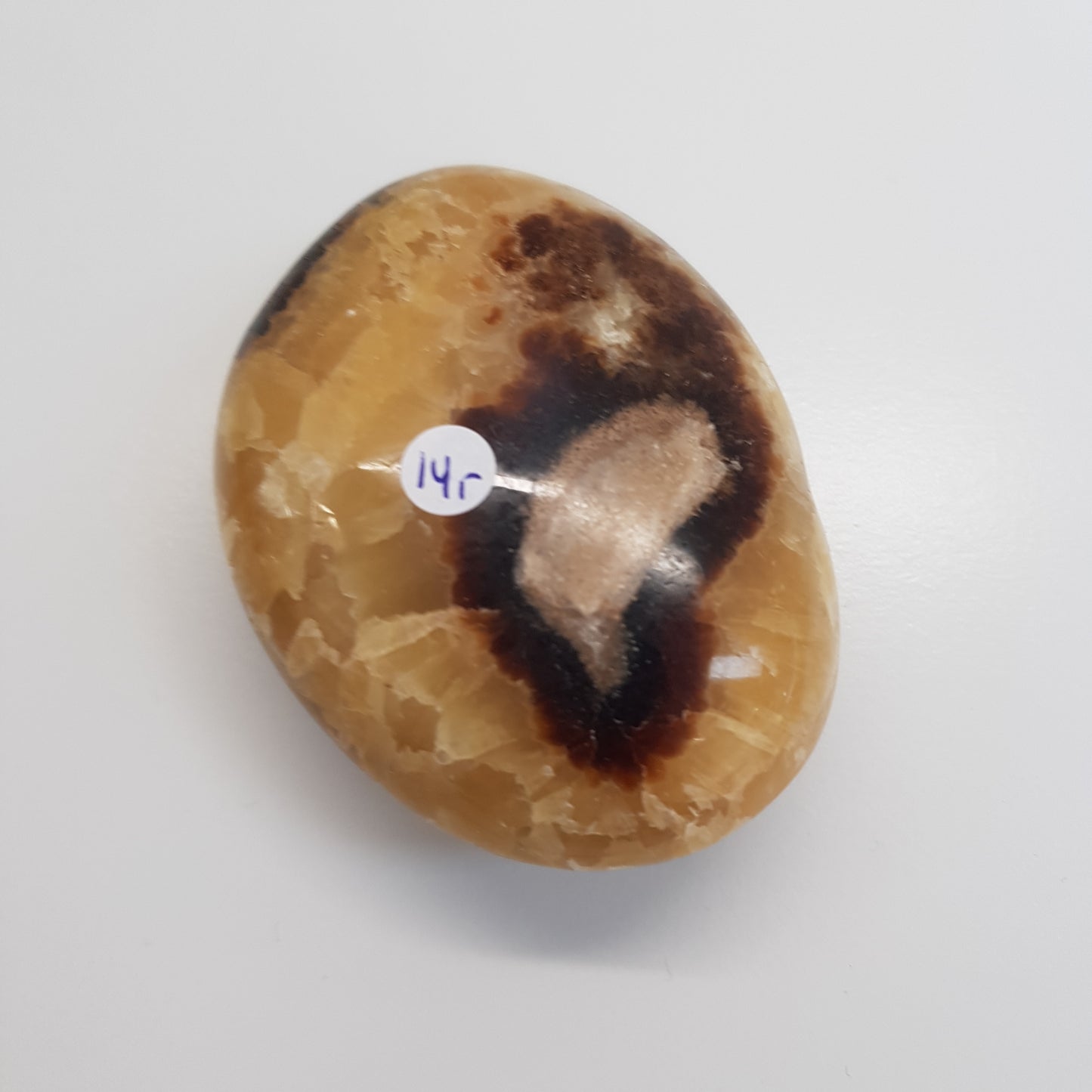 Septarie handsteen