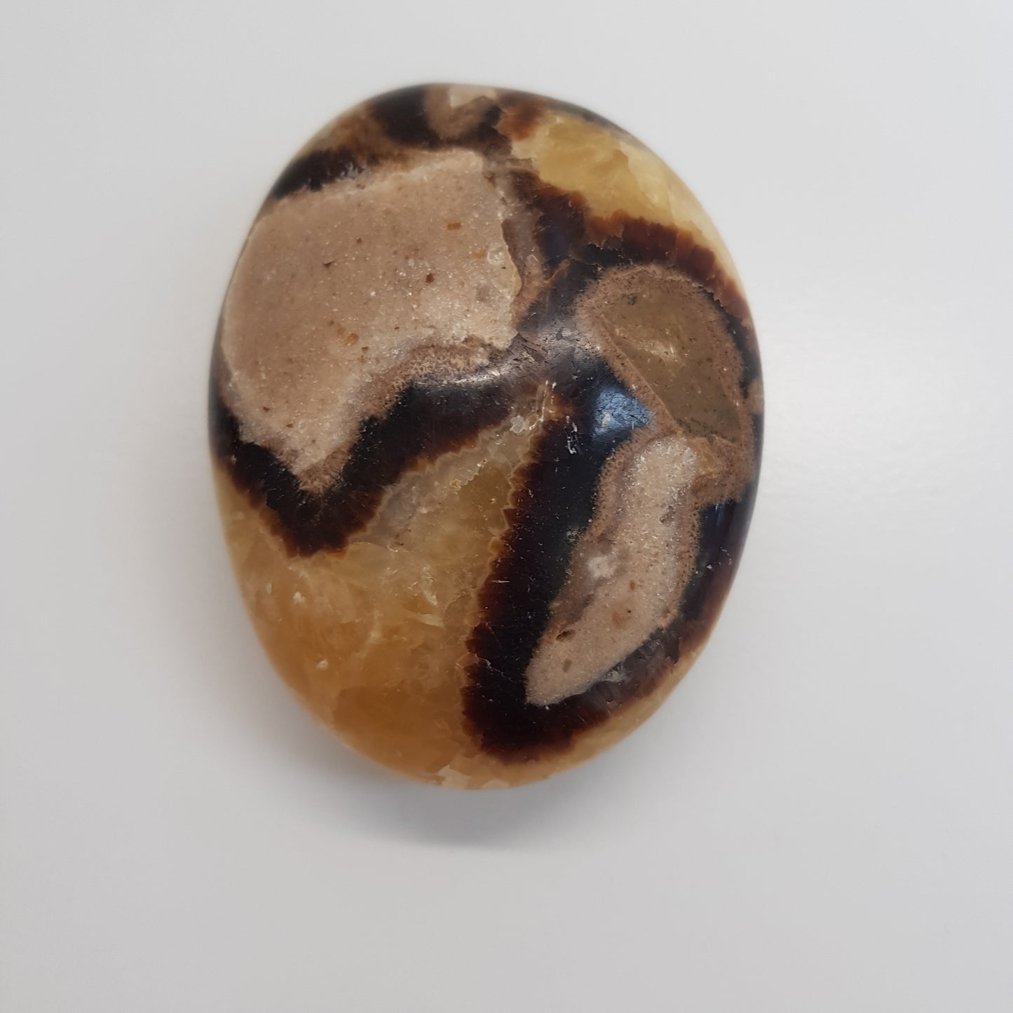 Septarie handsteen