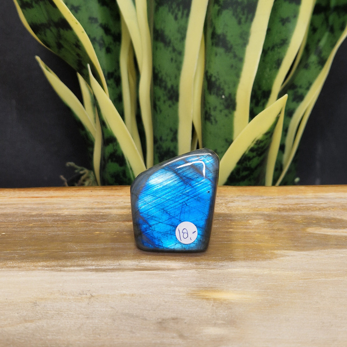 AA blauwe labradoriet sculptuur