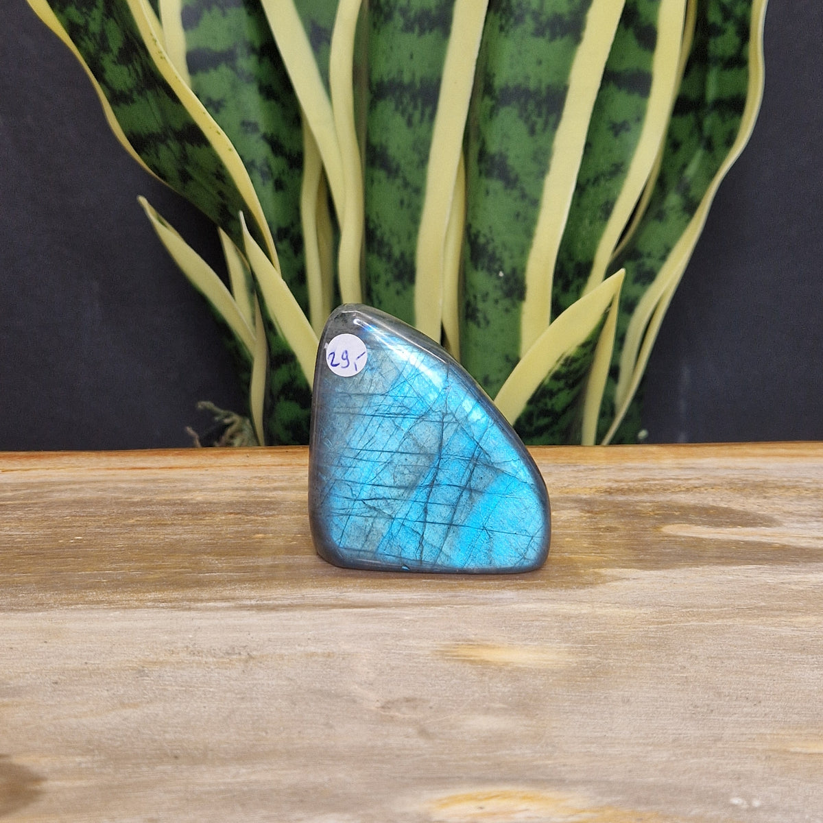 AA blauwe labradoriet sculptuur