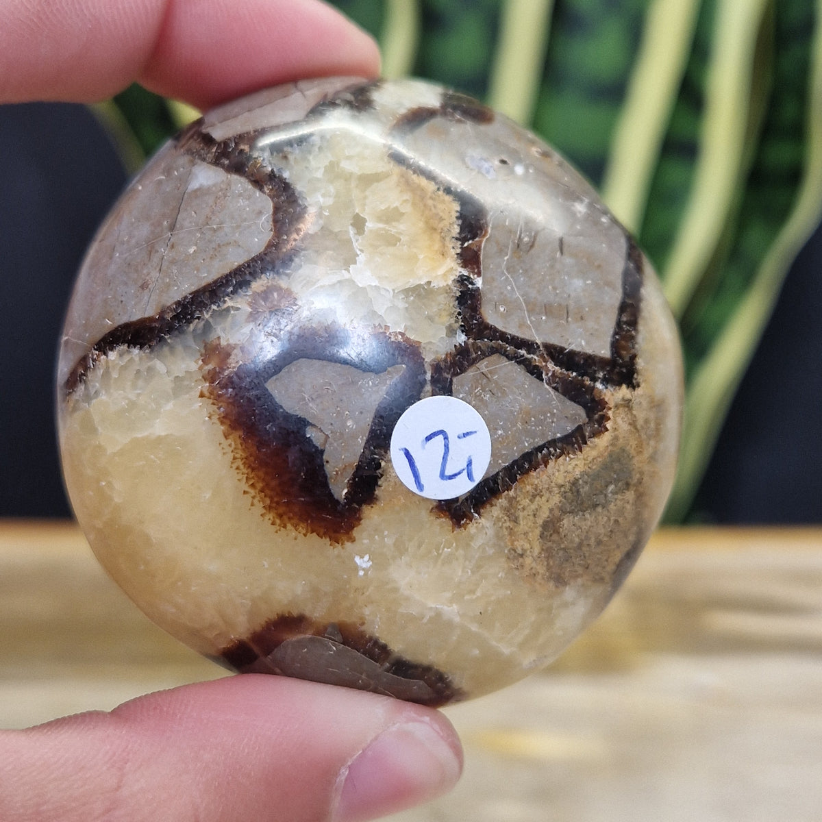 Septarie handsteen met mooie gele strepen