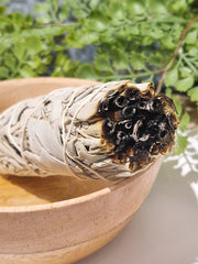 Witte salie smudge stick - 10 cm