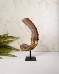 Orca Druzy Agaat op Standaard
