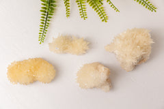 Calcietclusters uit Indonesië