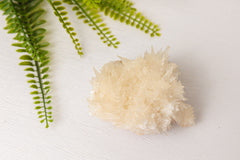 Calcietclusters uit Indonesië