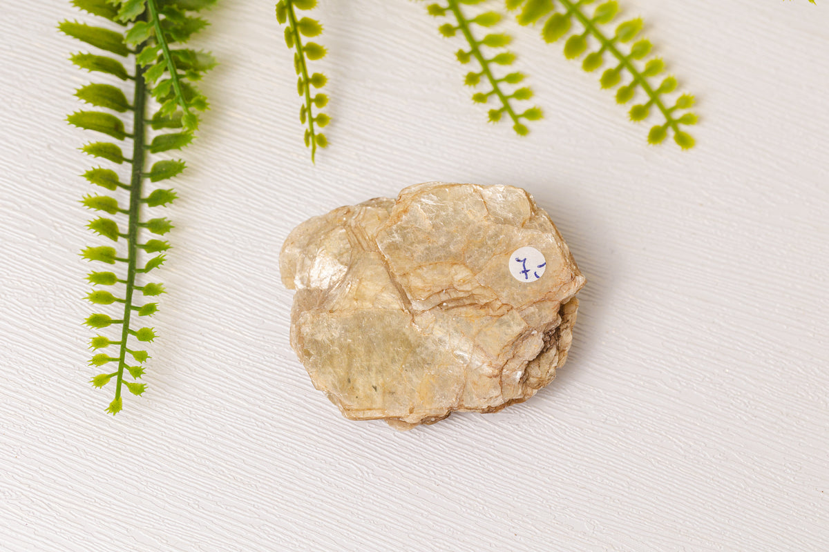 Gouden ruwe lepidoliet