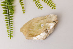 Gouden ruwe lepidoliet