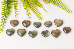 Labradoriet hartjes met gouden flash