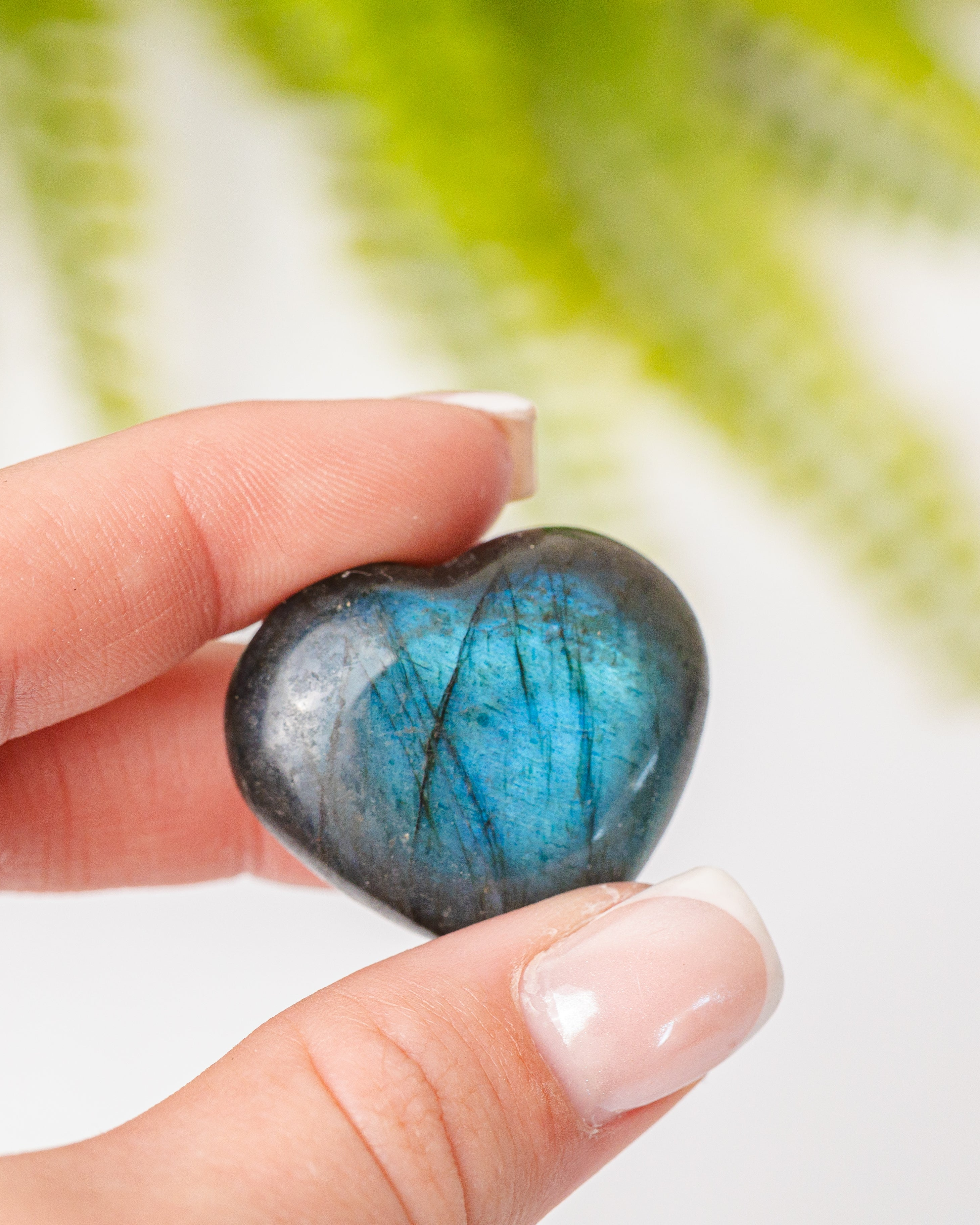 Labradoriet hartjes met blauwe flash