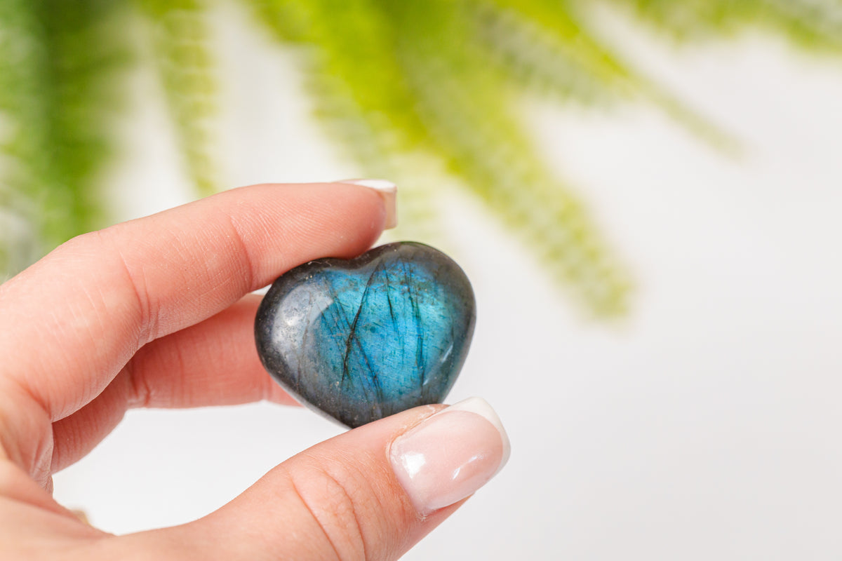 Labradoriet hartjes met blauwe flash