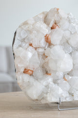 Apofyliet op standaard