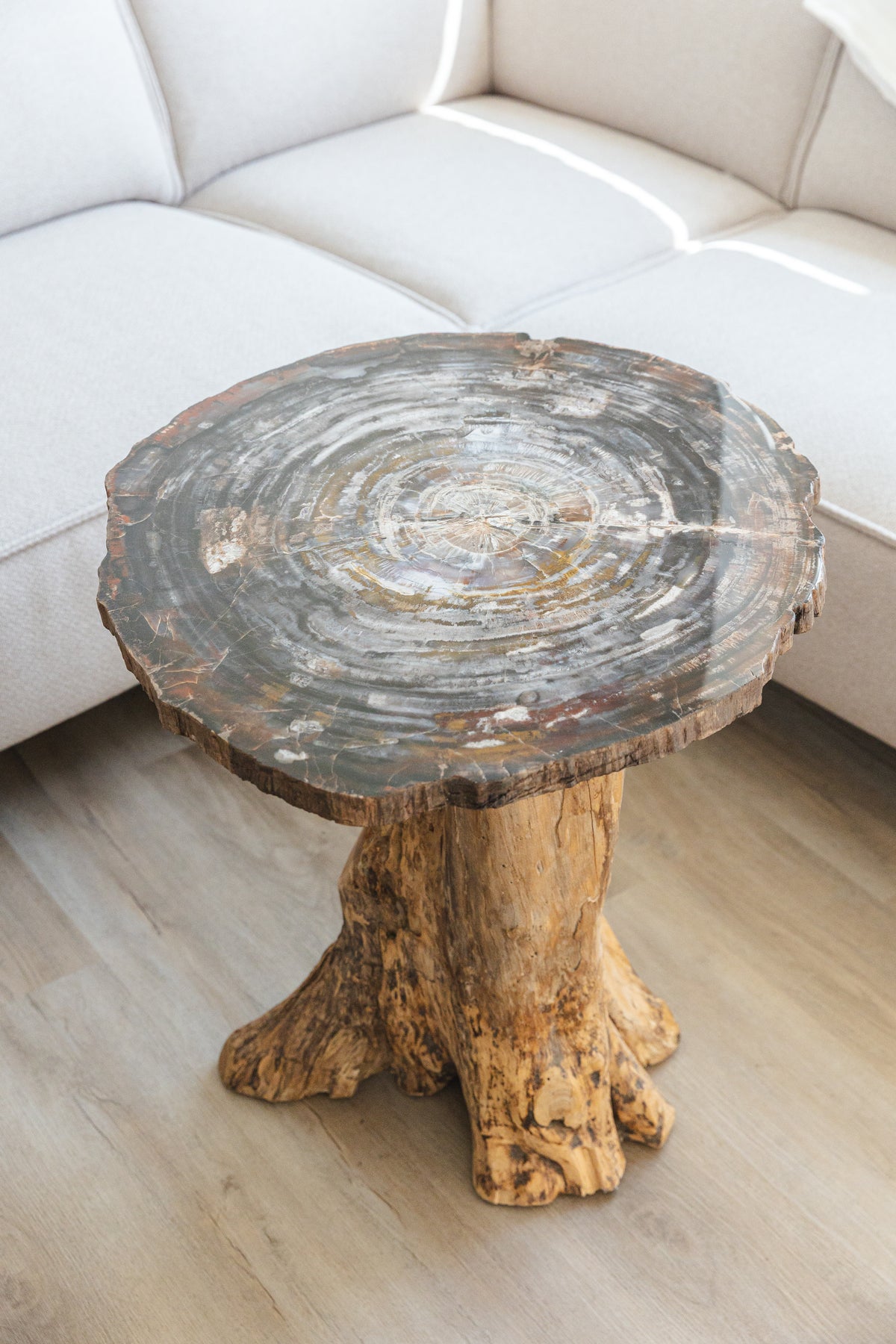 Versteend hout tafel uit Arizona