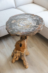 Versteend hout tafel uit Arizona