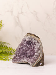Amethist cutbase #2 - 12.5 cm hoog