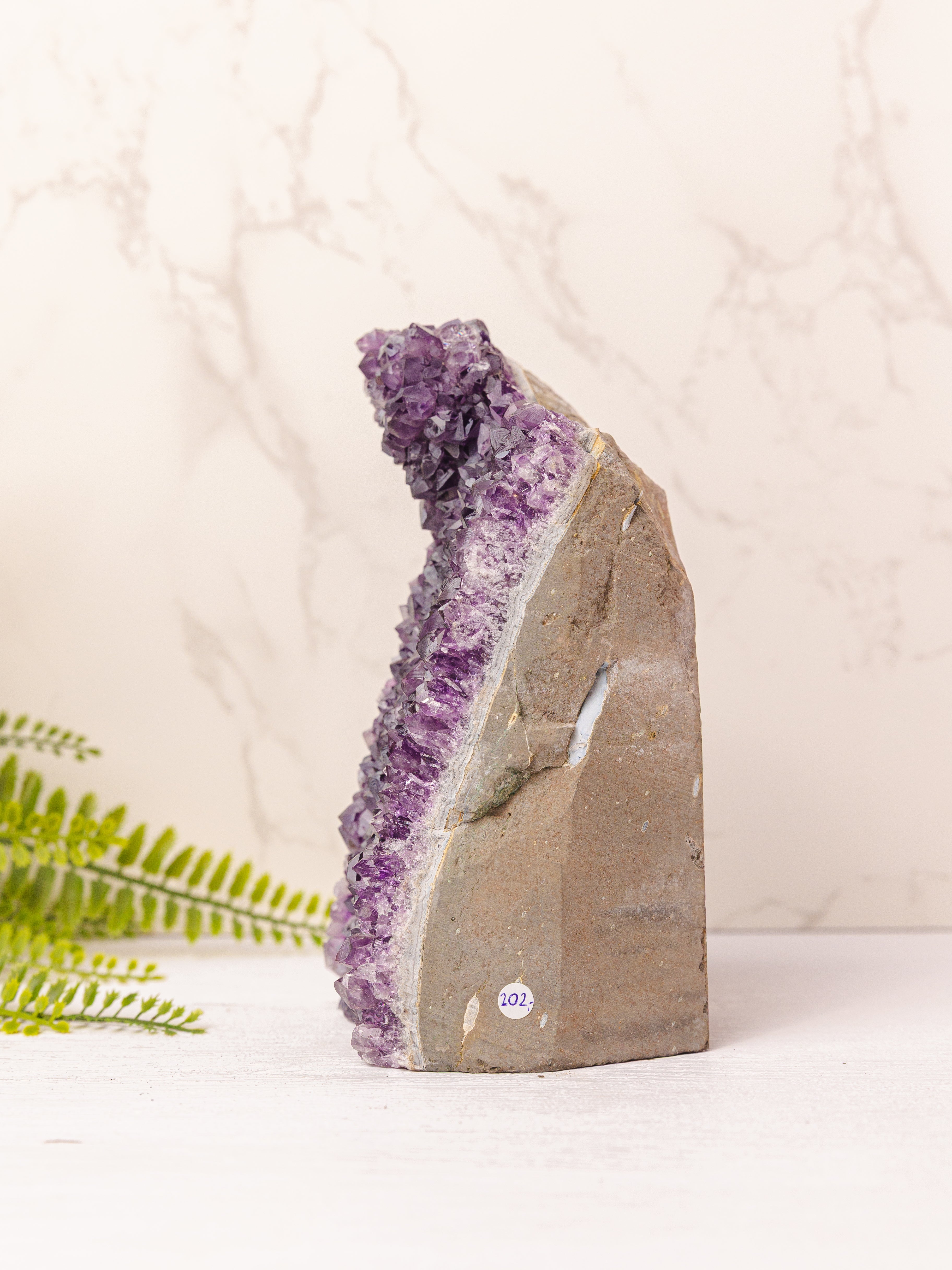 Amethist cutbase #8 - 18cm hoog