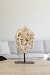 Calciet op standaard