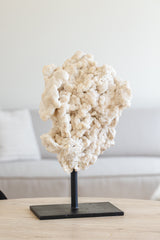 Calciet op standaard