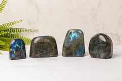 Labradoriet sculpturen klein