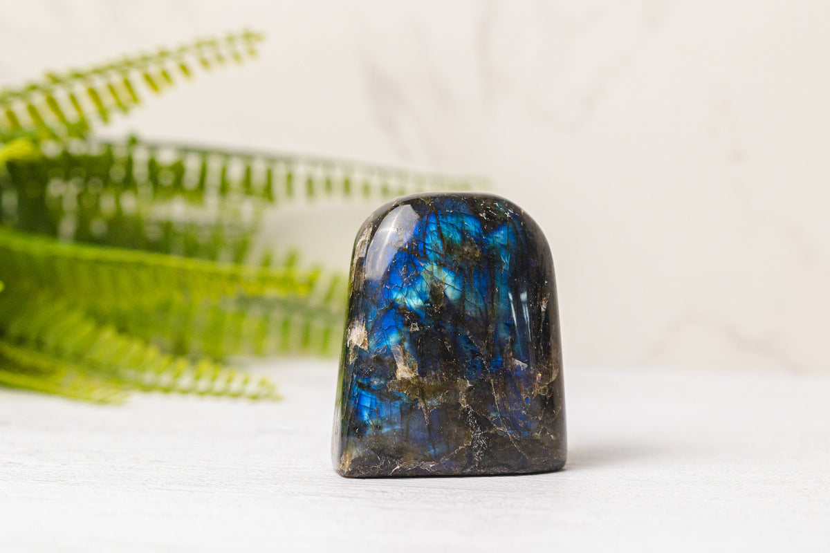 Labradoriet sculpturen klein