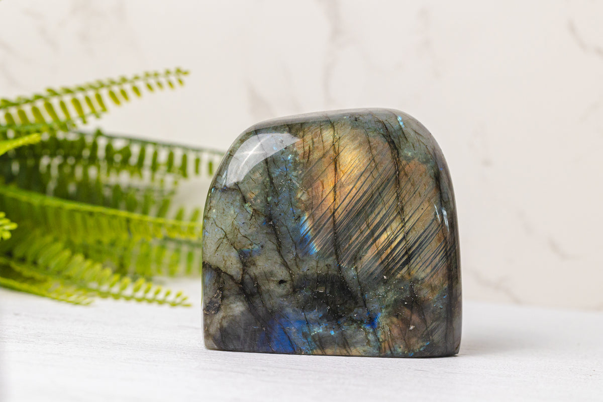 Labradoriet sculpturen groot