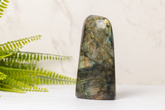 Labradoriet sculpturen groot