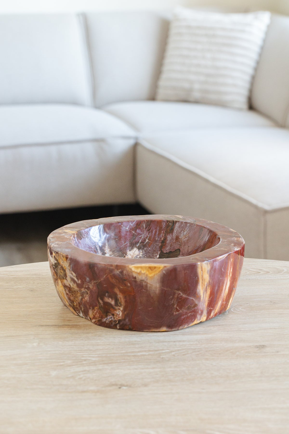 Versteend hout schaal