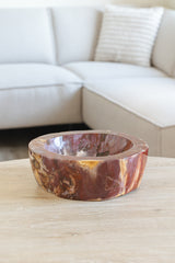 Versteend hout schaal