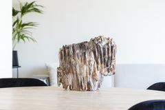 Versteend hout sculptuur 28kg