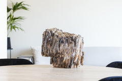 Versteend hout sculptuur 28kg