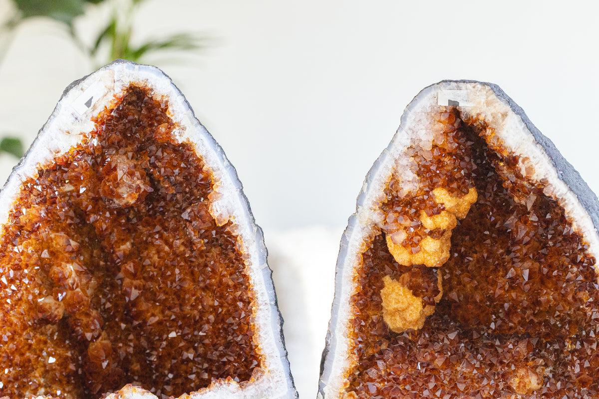 Gebrande amethist geode paar