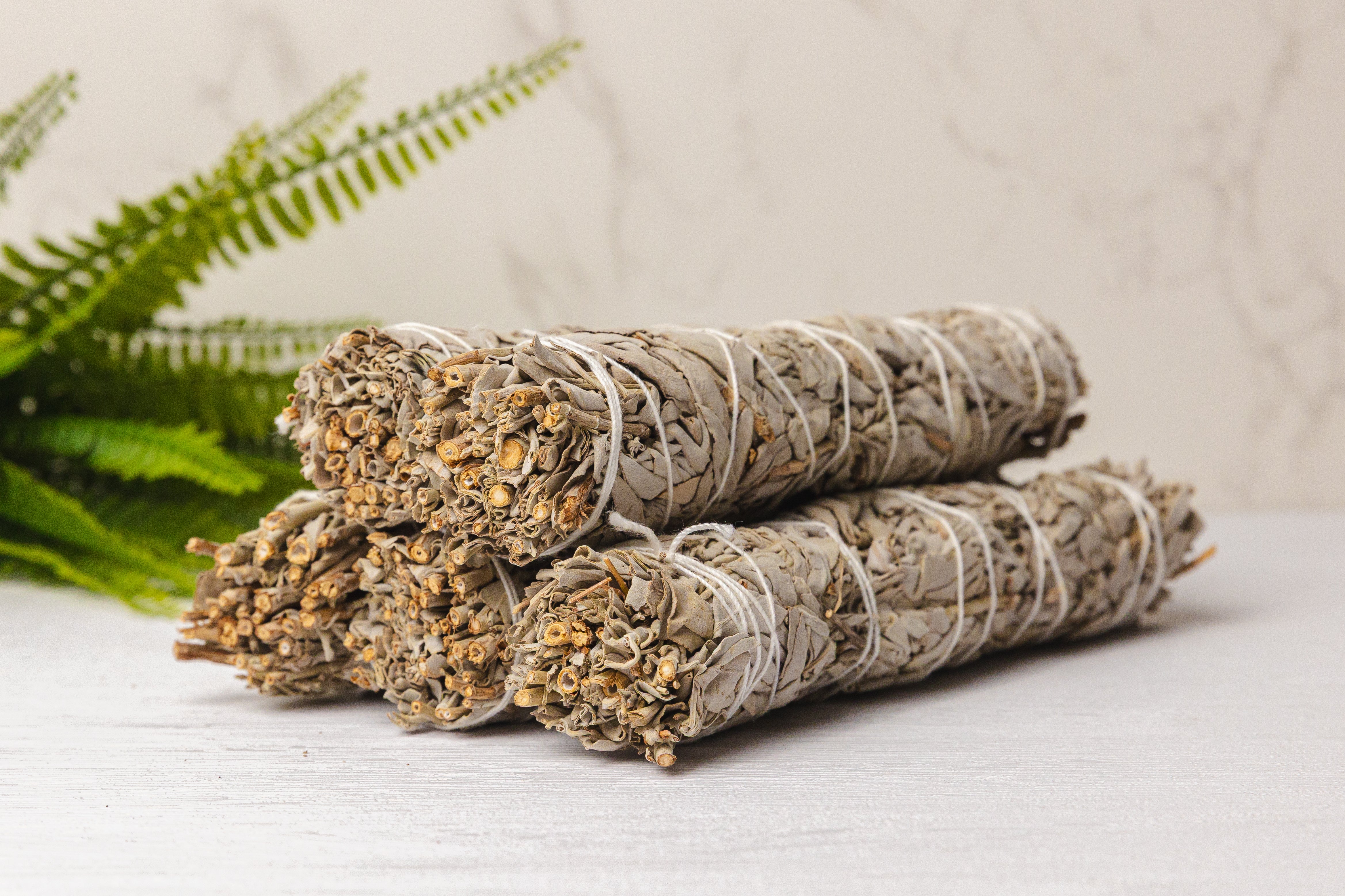 Witte salie smudge stick - 20 cm