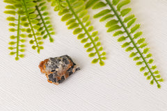 Cerussiet met galeniet en bariet - Marokko