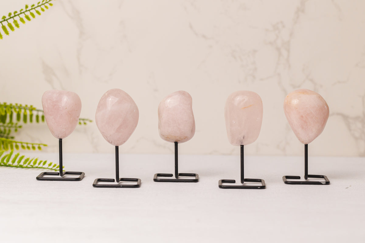 Gepolijste rozenkwarts op zwart standaard